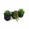 Mayne Valencia 8in Wall Mount Planter - Black 3-Pack 3871-B